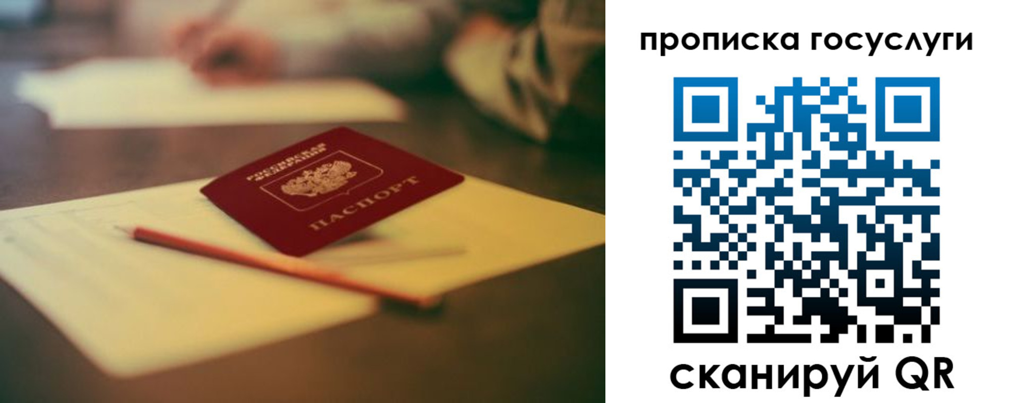 прописка для школы в Петровске